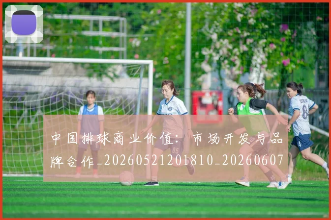 中国排球商业价值:市场开发与品牌合作_20260521201810_20260607160749